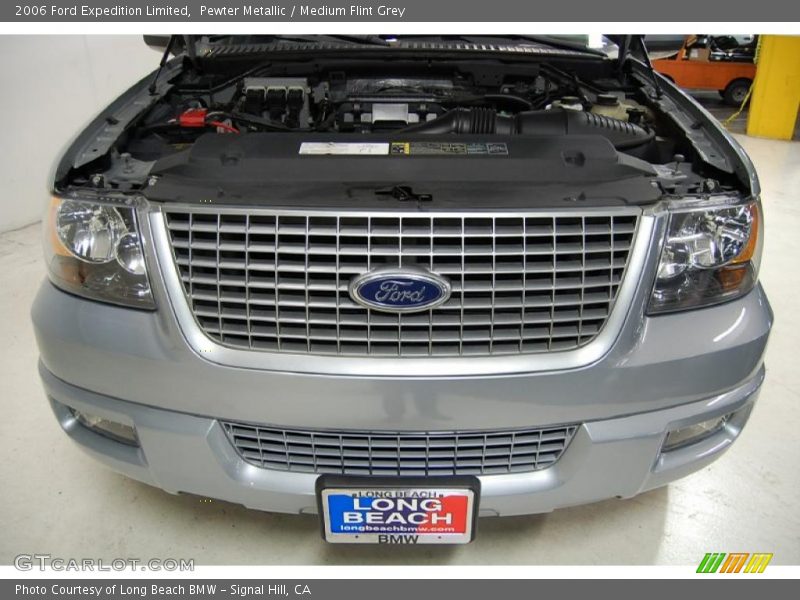 Pewter Metallic / Medium Flint Grey 2006 Ford Expedition Limited