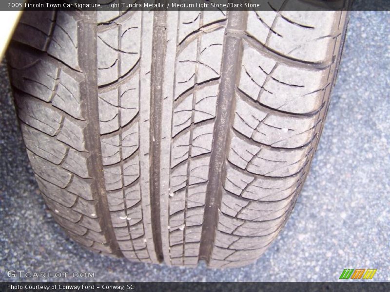 Light Tundra Metallic / Medium Light Stone/Dark Stone 2005 Lincoln Town Car Signature