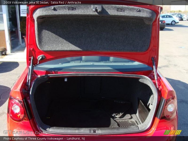 Salsa Red / Anthracite 2009 Volkswagen Jetta SE Sedan
