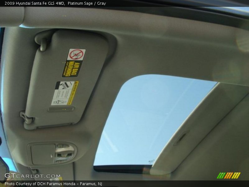 Platinum Sage / Gray 2009 Hyundai Santa Fe GLS 4WD