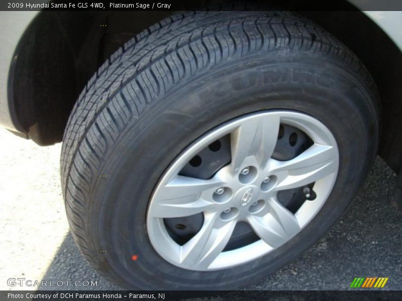 Platinum Sage / Gray 2009 Hyundai Santa Fe GLS 4WD