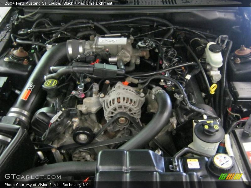 Black / Medium Parchment 2004 Ford Mustang GT Coupe
