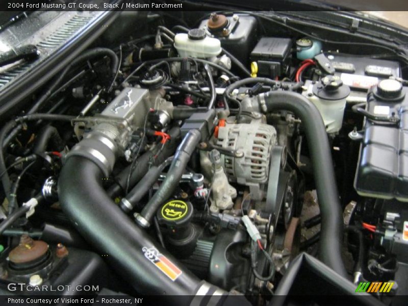 Black / Medium Parchment 2004 Ford Mustang GT Coupe