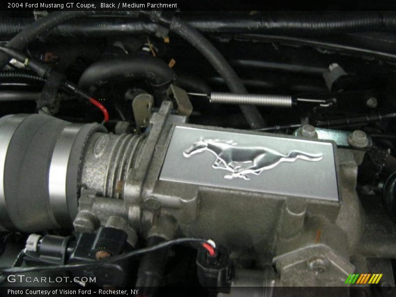Black / Medium Parchment 2004 Ford Mustang GT Coupe