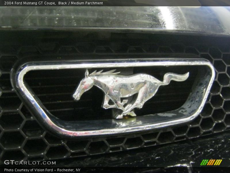 Black / Medium Parchment 2004 Ford Mustang GT Coupe