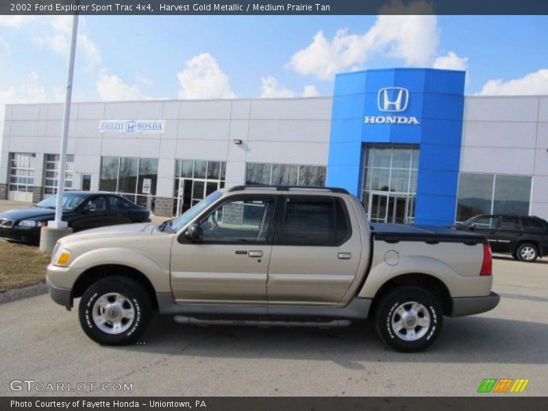 Harvest Gold Metallic / Medium Prairie Tan 2002 Ford Explorer Sport Trac 4x4