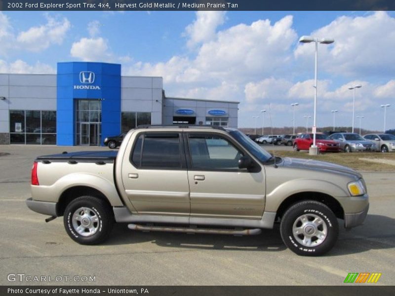 Harvest Gold Metallic / Medium Prairie Tan 2002 Ford Explorer Sport Trac 4x4