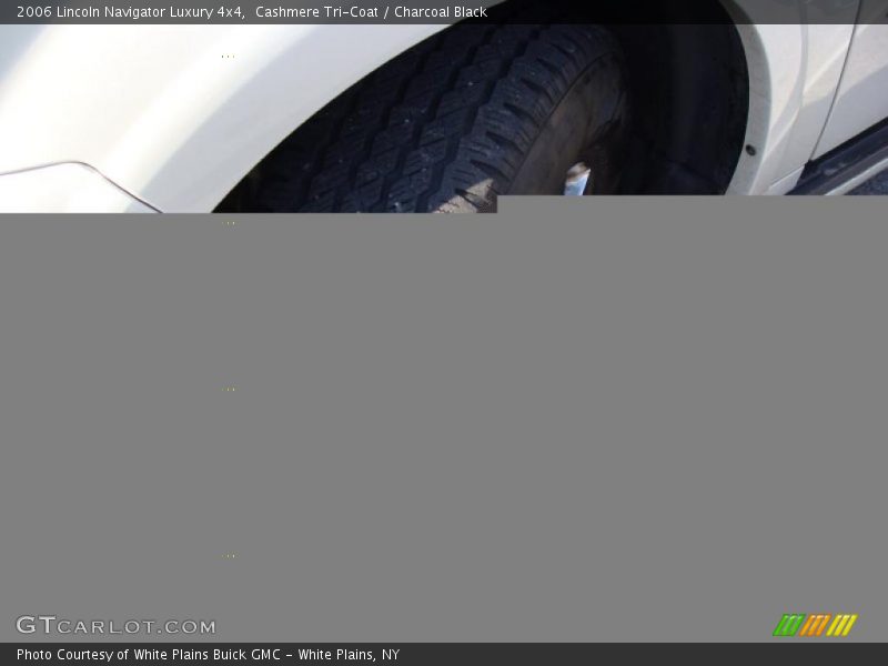 Cashmere Tri-Coat / Charcoal Black 2006 Lincoln Navigator Luxury 4x4