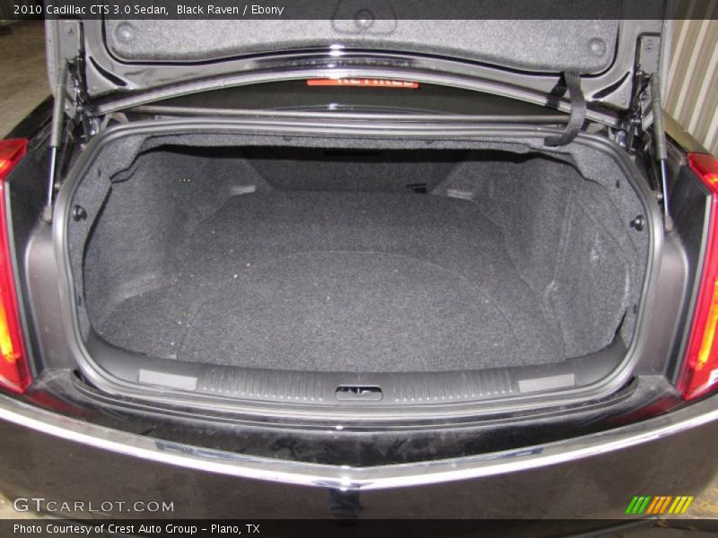 Black Raven / Ebony 2010 Cadillac CTS 3.0 Sedan