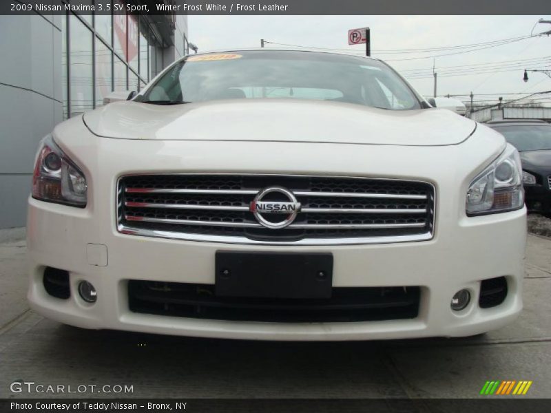Winter Frost White / Frost Leather 2009 Nissan Maxima 3.5 SV Sport