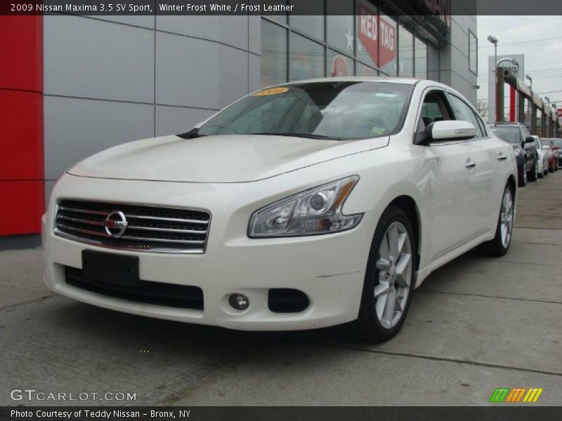 Winter Frost White / Frost Leather 2009 Nissan Maxima 3.5 SV Sport