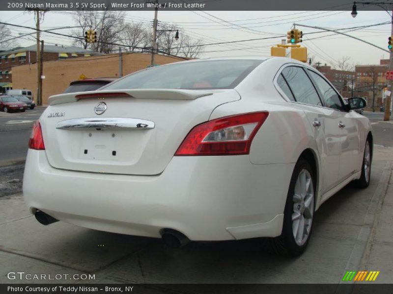 Winter Frost White / Frost Leather 2009 Nissan Maxima 3.5 SV Sport