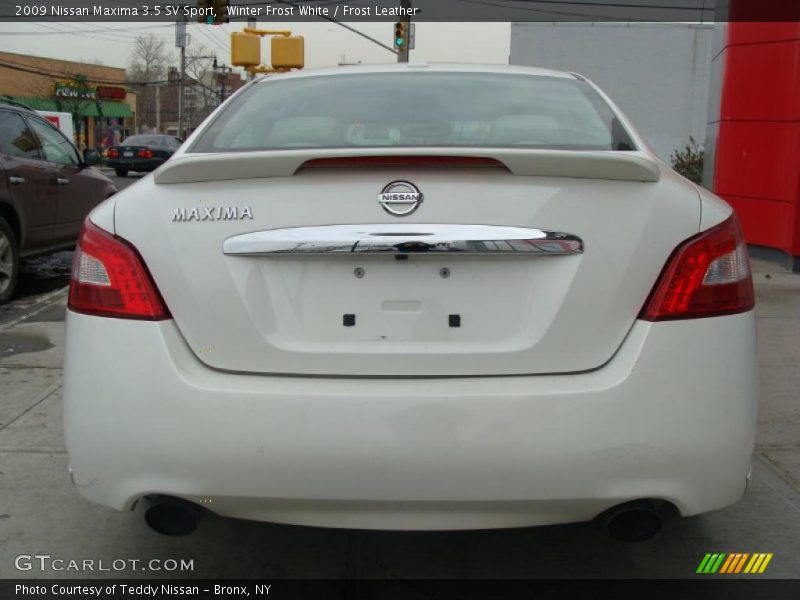 Winter Frost White / Frost Leather 2009 Nissan Maxima 3.5 SV Sport