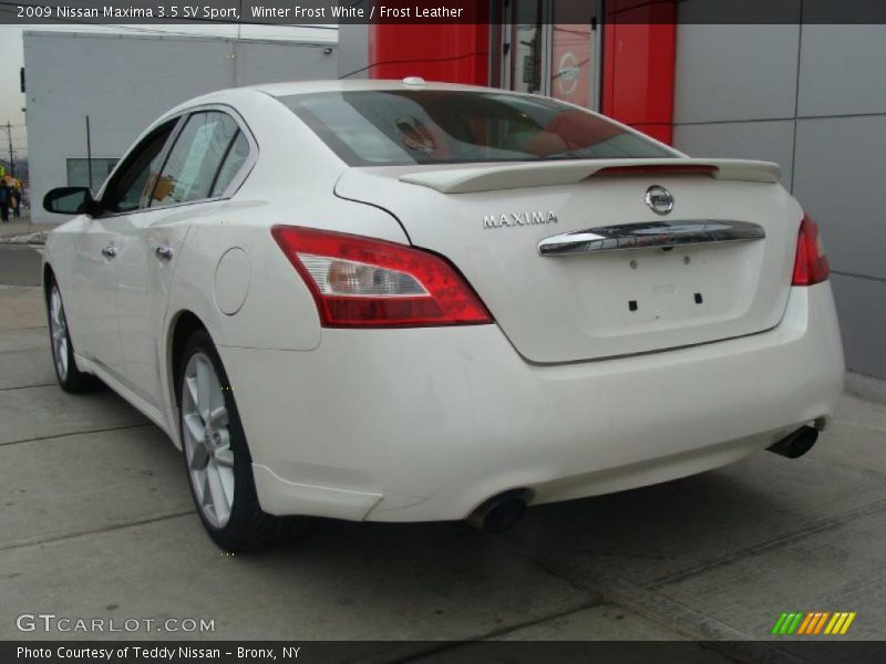 Winter Frost White / Frost Leather 2009 Nissan Maxima 3.5 SV Sport