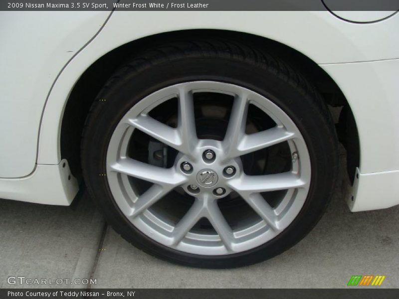 Winter Frost White / Frost Leather 2009 Nissan Maxima 3.5 SV Sport