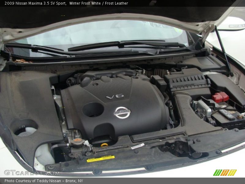 Winter Frost White / Frost Leather 2009 Nissan Maxima 3.5 SV Sport
