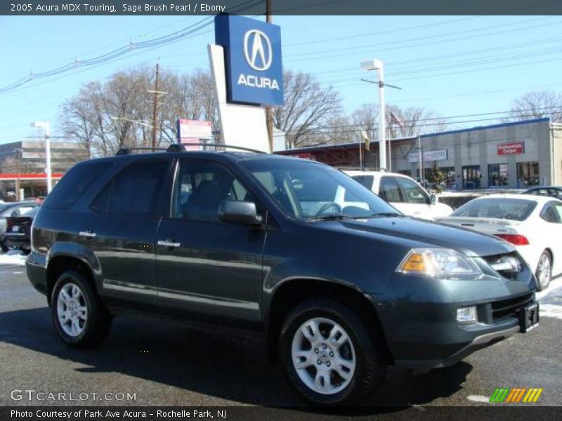 Sage Brush Pearl / Ebony 2005 Acura MDX Touring