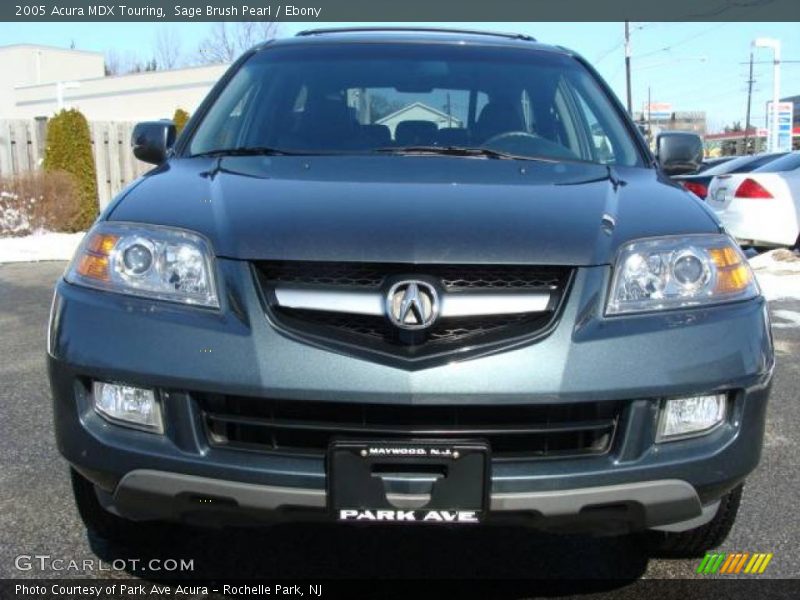 Sage Brush Pearl / Ebony 2005 Acura MDX Touring