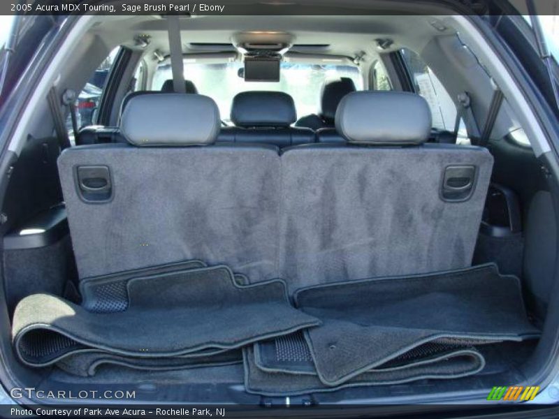 Sage Brush Pearl / Ebony 2005 Acura MDX Touring