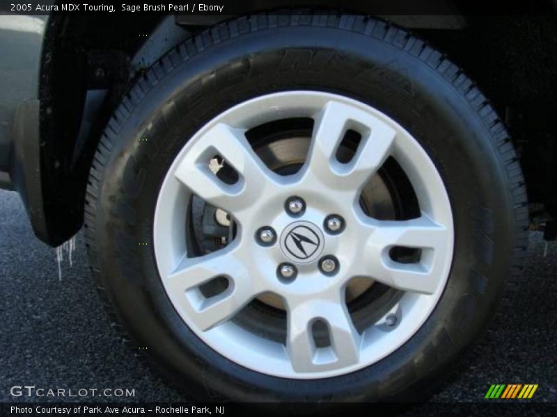 Sage Brush Pearl / Ebony 2005 Acura MDX Touring