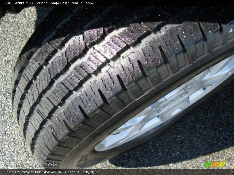 Sage Brush Pearl / Ebony 2005 Acura MDX Touring