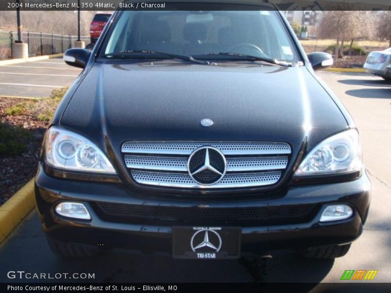 Black / Charcoal 2004 Mercedes-Benz ML 350 4Matic