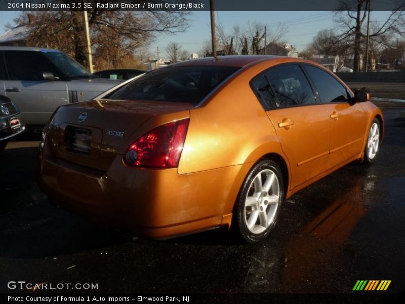 Radiant Ember / Burnt Orange/Black 2004 Nissan Maxima 3.5 SE