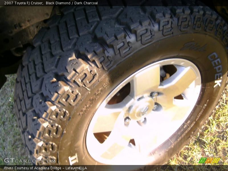 Black Diamond / Dark Charcoal 2007 Toyota FJ Cruiser