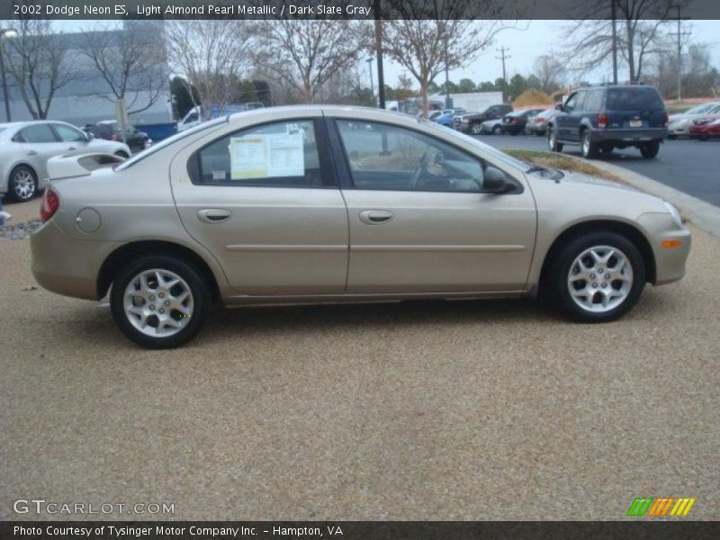 Light Almond Pearl Metallic / Dark Slate Gray 2002 Dodge Neon ES