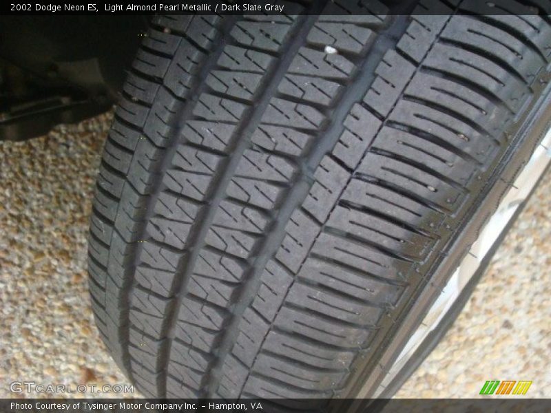 Light Almond Pearl Metallic / Dark Slate Gray 2002 Dodge Neon ES