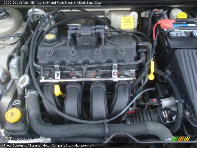 Light Almond Pearl Metallic / Dark Slate Gray 2002 Dodge Neon ES