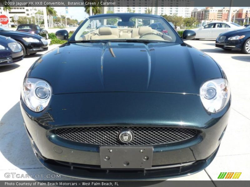 Botanical Green / Caramel 2009 Jaguar XK XK8 Convertible