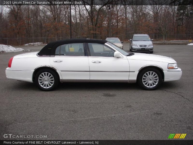 Vibrant White / Black 2003 Lincoln Town Car Signature