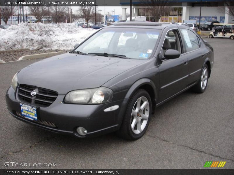 Gray Lustre Metallic / Frost 2000 Nissan Maxima SE