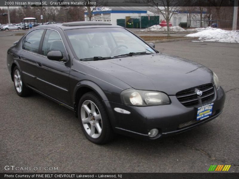Gray Lustre Metallic / Frost 2000 Nissan Maxima SE
