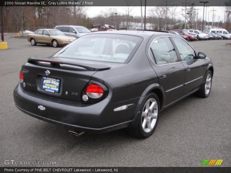 Gray Lustre Metallic / Frost 2000 Nissan Maxima SE