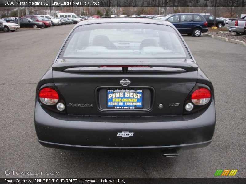 Gray Lustre Metallic / Frost 2000 Nissan Maxima SE