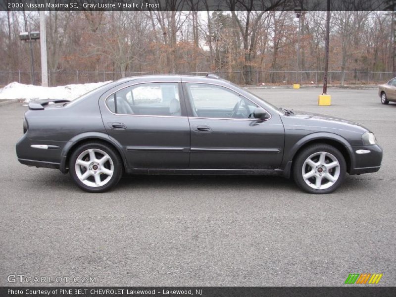 Gray Lustre Metallic / Frost 2000 Nissan Maxima SE