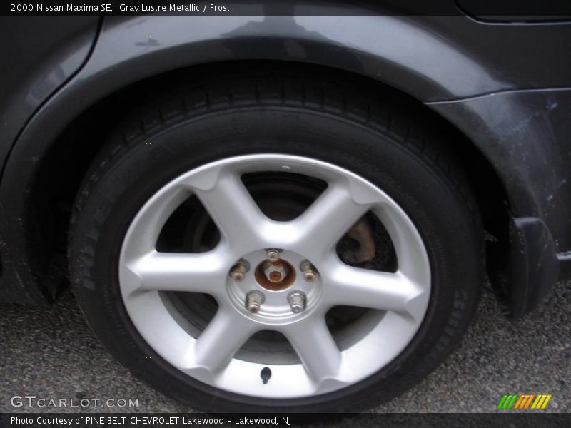 Gray Lustre Metallic / Frost 2000 Nissan Maxima SE