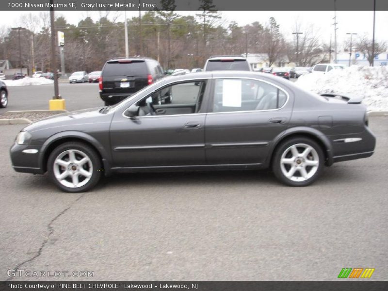Gray Lustre Metallic / Frost 2000 Nissan Maxima SE