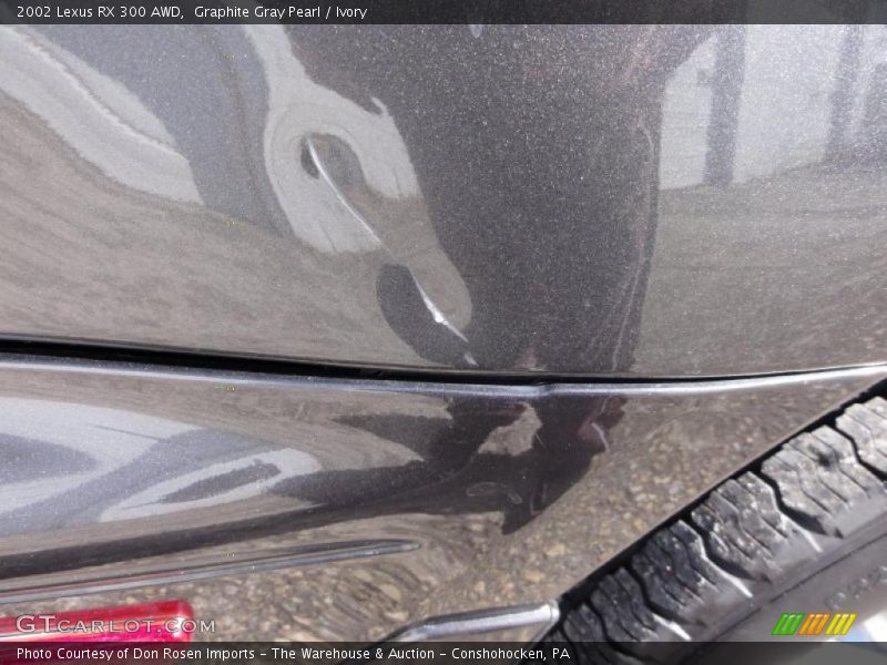 Graphite Gray Pearl / Ivory 2002 Lexus RX 300 AWD