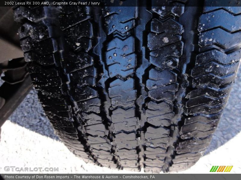 Graphite Gray Pearl / Ivory 2002 Lexus RX 300 AWD