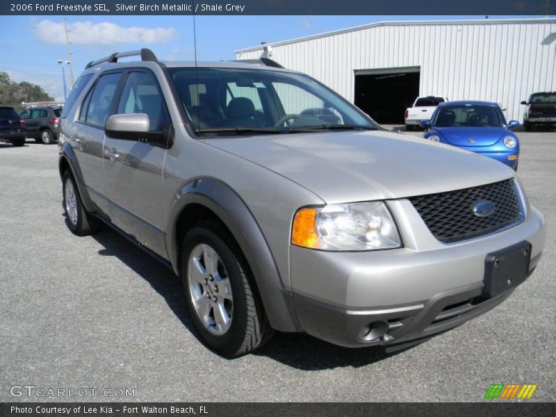  2006 Freestyle SEL Silver Birch Metallic