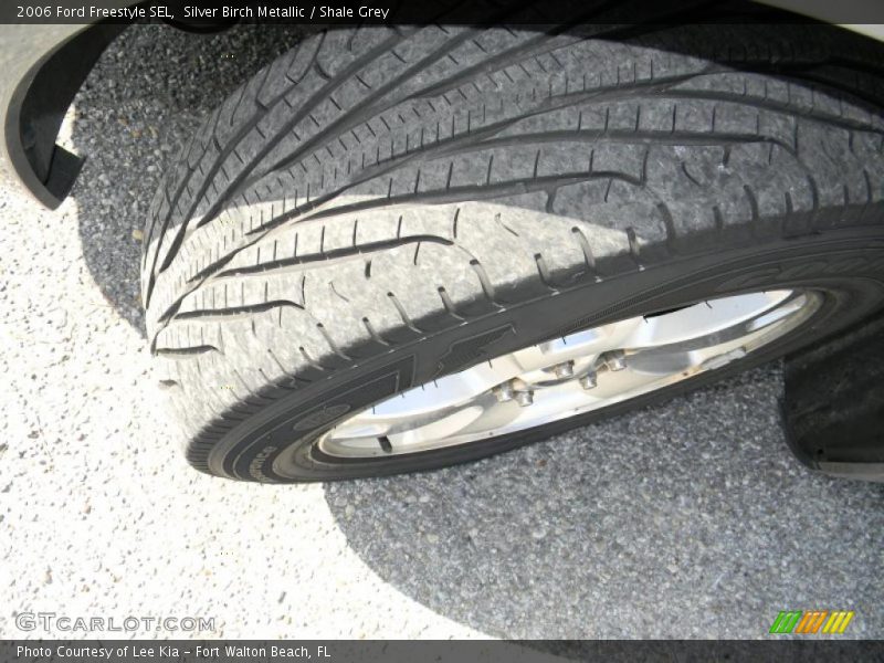 Silver Birch Metallic / Shale Grey 2006 Ford Freestyle SEL