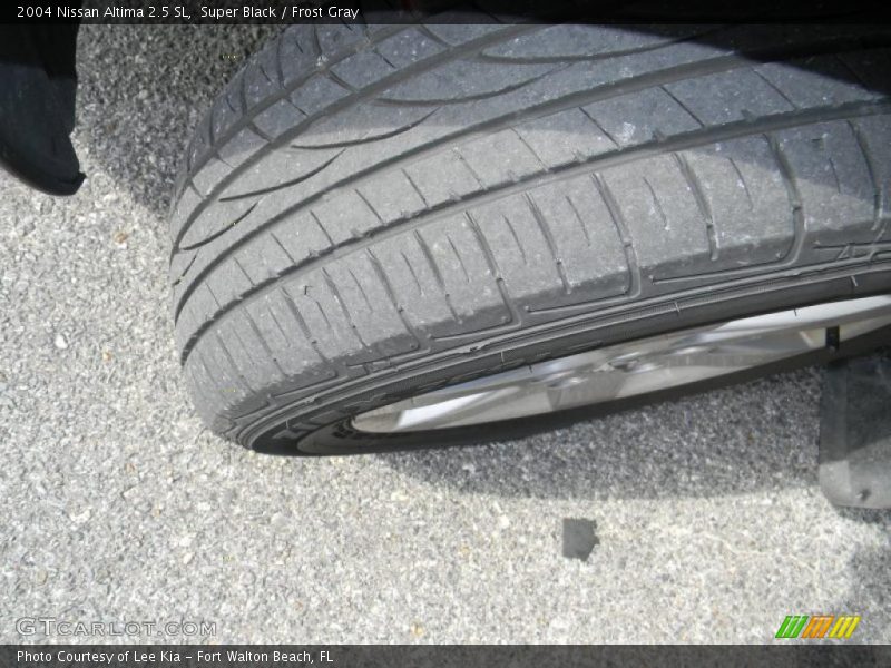 Super Black / Frost Gray 2004 Nissan Altima 2.5 SL
