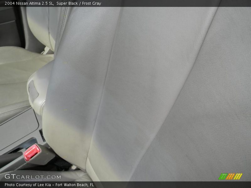 Super Black / Frost Gray 2004 Nissan Altima 2.5 SL