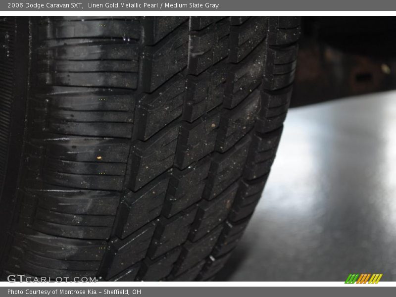 Linen Gold Metallic Pearl / Medium Slate Gray 2006 Dodge Caravan SXT