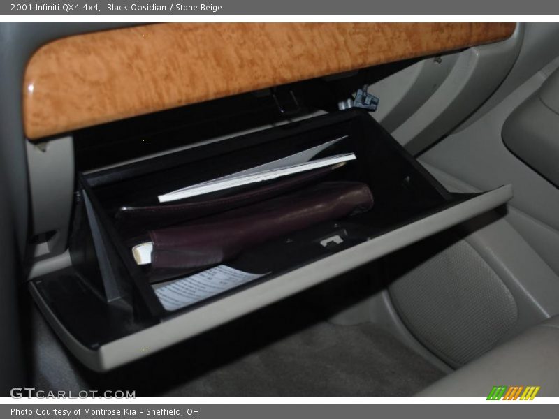 Black Obsidian / Stone Beige 2001 Infiniti QX4 4x4