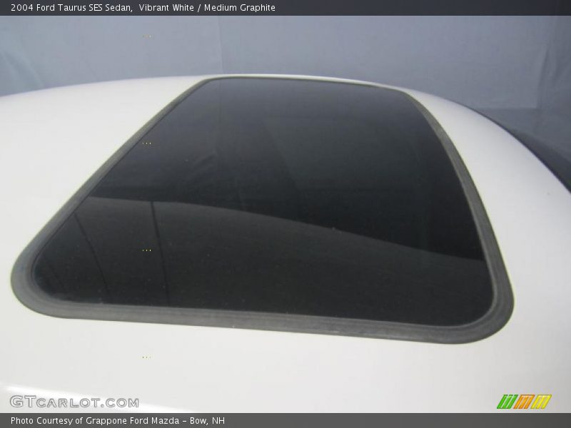 Vibrant White / Medium Graphite 2004 Ford Taurus SES Sedan