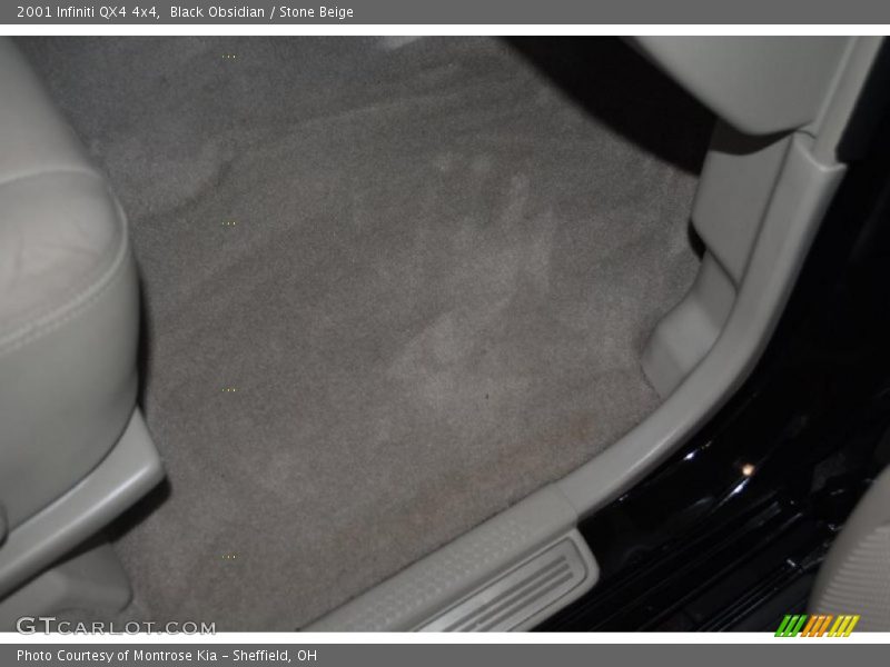 Black Obsidian / Stone Beige 2001 Infiniti QX4 4x4